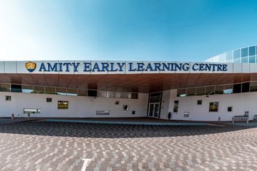 Amity Early Learning Center Llc